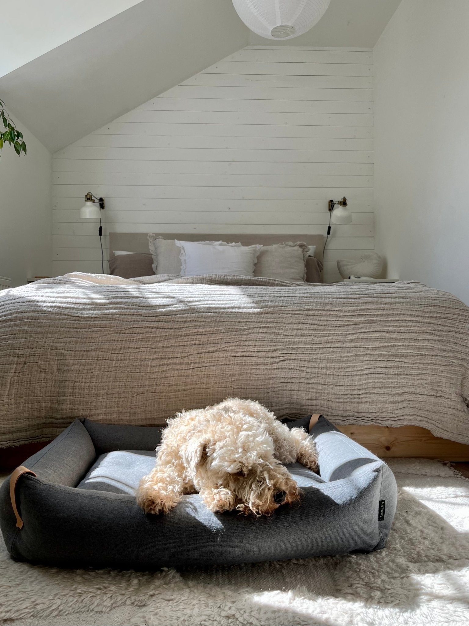 Moe | Panier pour chien design - mousse orthopédique & housse amovible - Jean - Poil - Vert clair