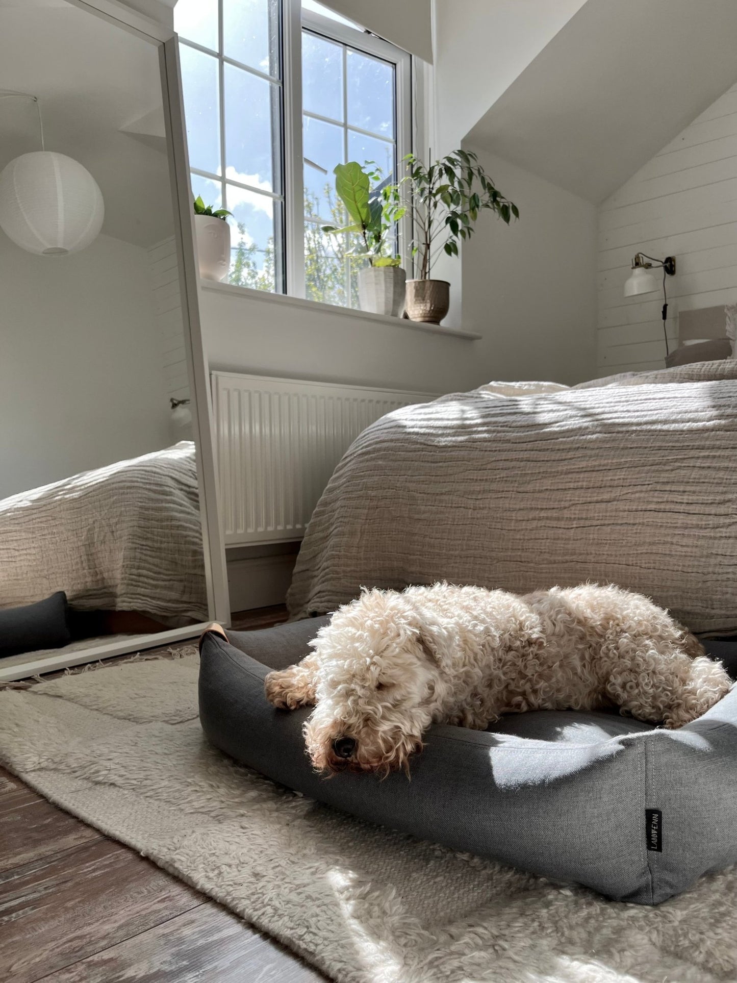 Moe | Panier pour chien design - mousse orthopédique & housse amovible - Jean - Poil - Vert clair