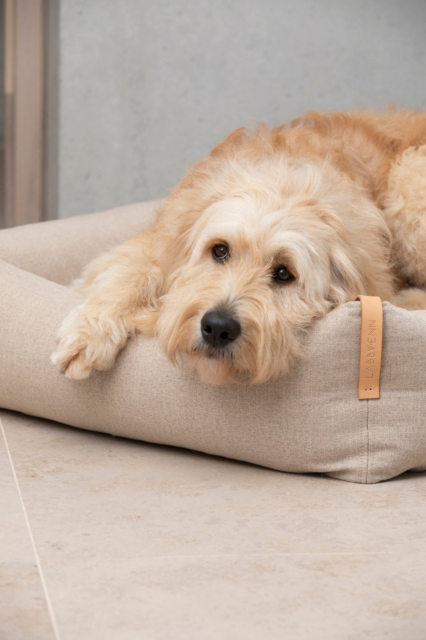 Moe | Panier pour chien design - mousse orthopédique & housse amovible - Jean - Poil - Vert clair