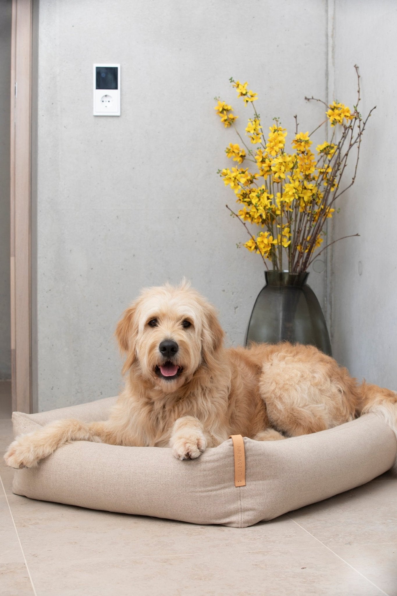 Moe | Panier pour chien design - mousse orthopédique & housse amovible - Jean - Poil - Vert clair