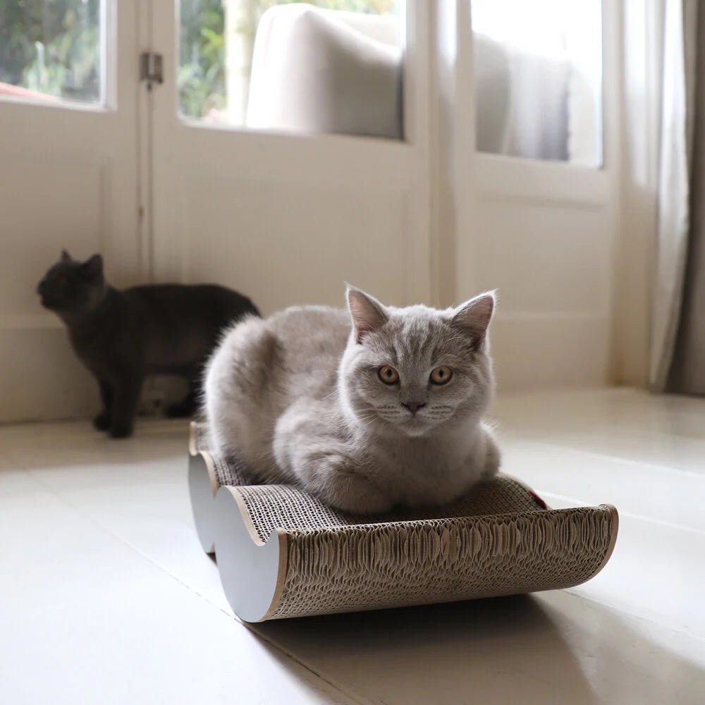 Moustache | Meuble à griffer en carton recyclé pour chat - Jean - Poil - Noir