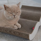 Moustache | Meuble à griffer en carton recyclé pour chat - Jean - Poil - Noir