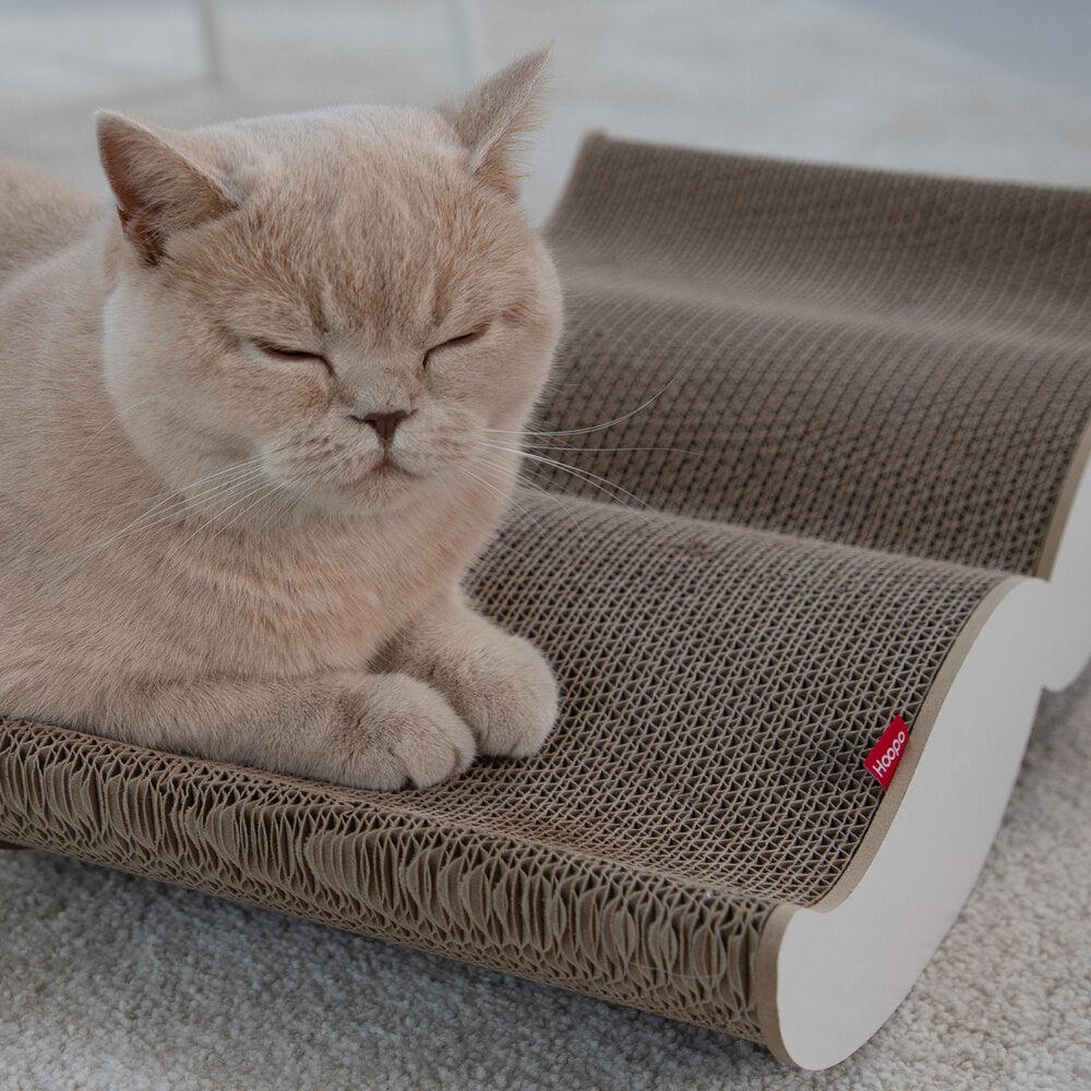 Moustache | Meuble à griffer en carton recyclé pour chat - Jean - Poil - Noir