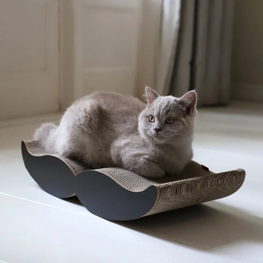 Moustache | Meuble à griffer en carton recyclé pour chat - Jean - Poil - Noir