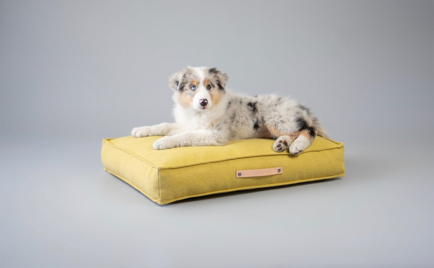 Movik | Matelas orthopédique pour chien - Jean - Poil - Jaune