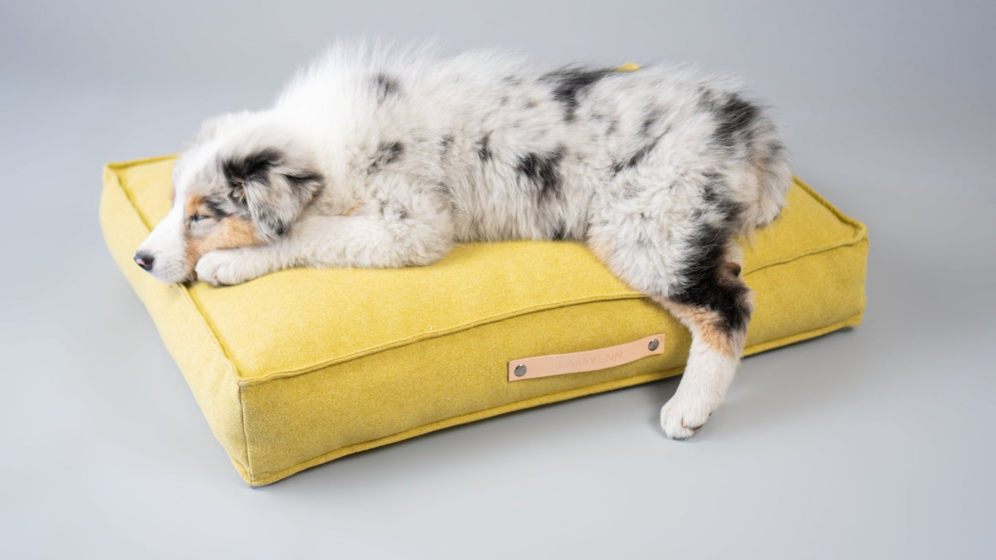 Movik | Matelas orthopédique pour chien - Jean - Poil - Jaune