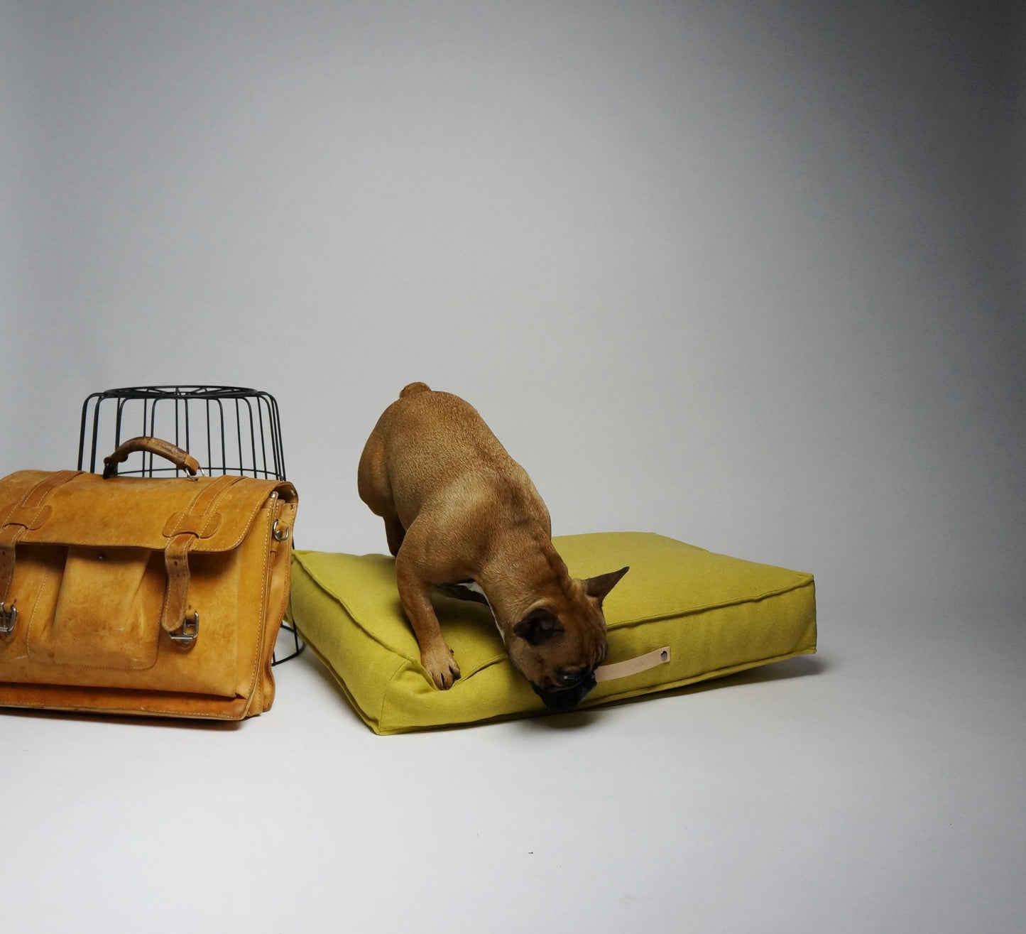 Movik | Matelas orthopédique pour chien - Jean - Poil - Jaune