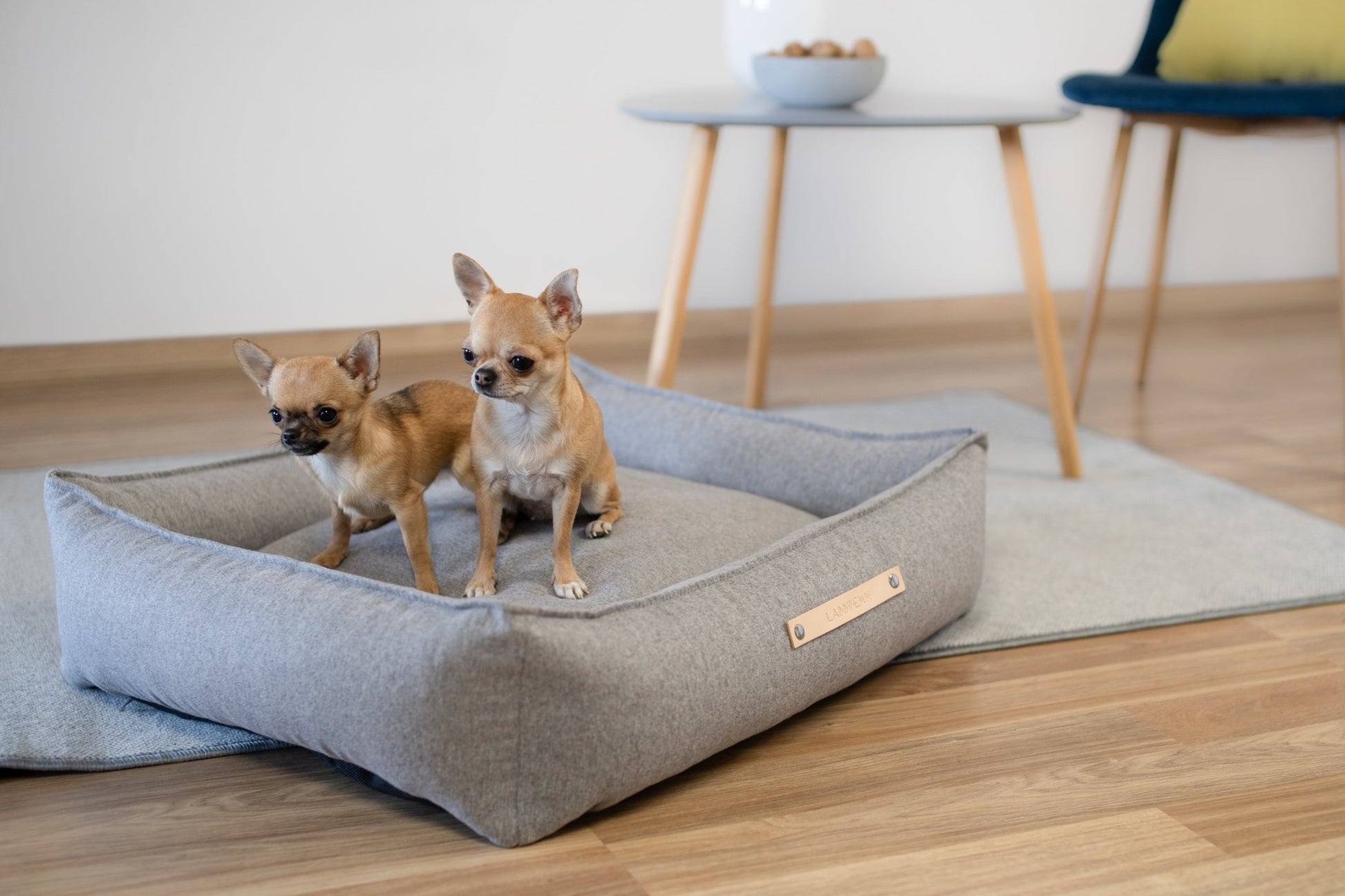 Movik | Panier orthopédique pour chien, housse amovible - Jean - Poil - Biscuit