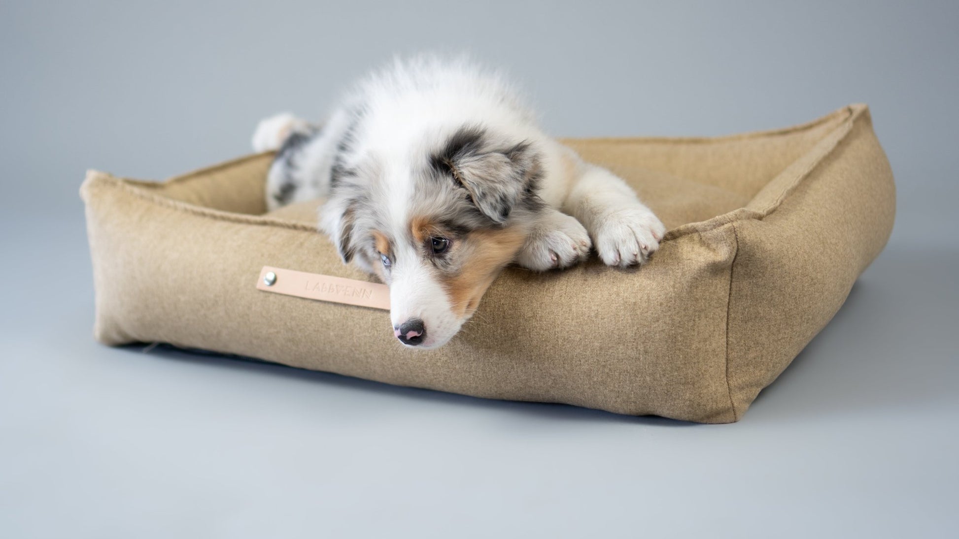 Movik | Panier orthopédique pour chien, housse amovible - Jean - Poil - Biscuit