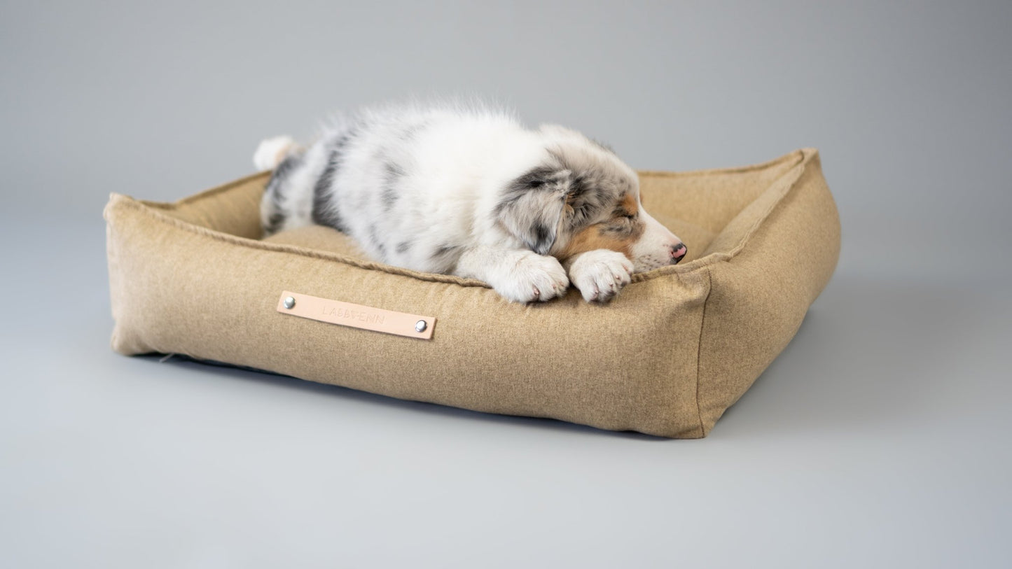 Movik | Panier orthopédique pour chien, housse amovible - Jean - Poil - Biscuit