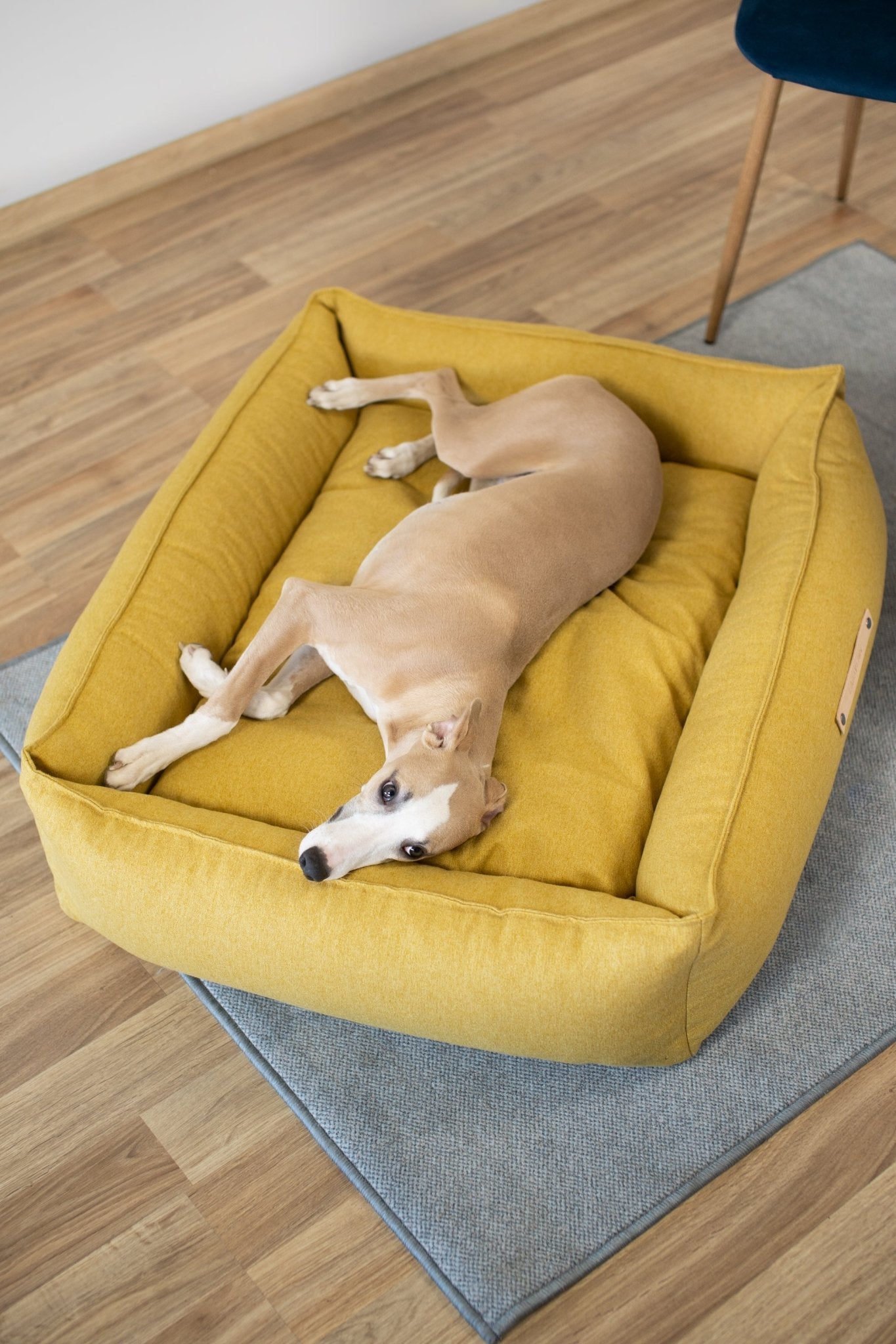 Movik | Panier orthopédique pour chien, housse amovible - Jean - Poil - Biscuit