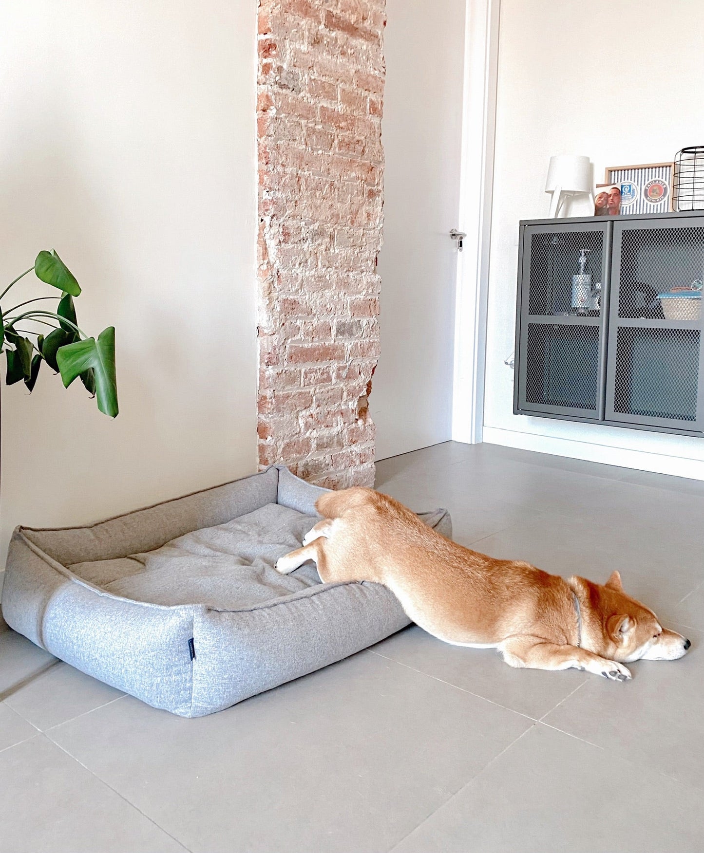Movik | Panier orthopédique pour chien, housse amovible - Jean - Poil - Biscuit
