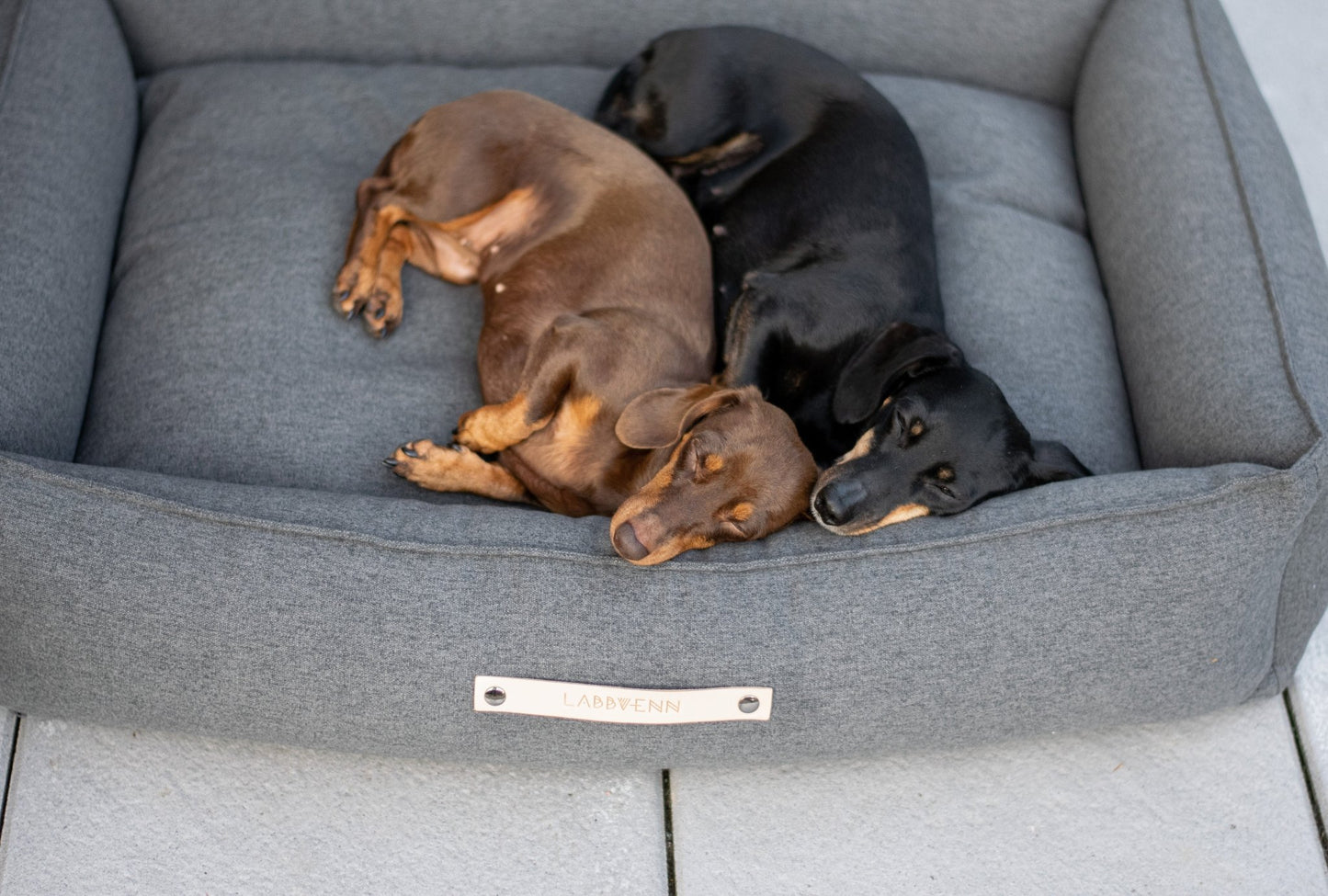 Movik | Panier orthopédique pour chien, housse amovible - Jean - Poil - Biscuit
