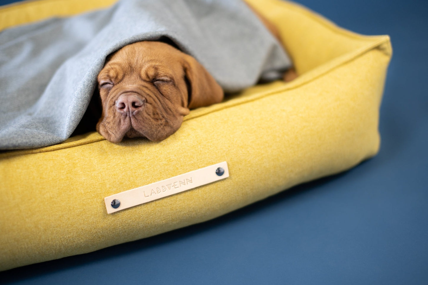 Movik | Panier orthopédique pour chien, housse amovible - Jean - Poil - Biscuit