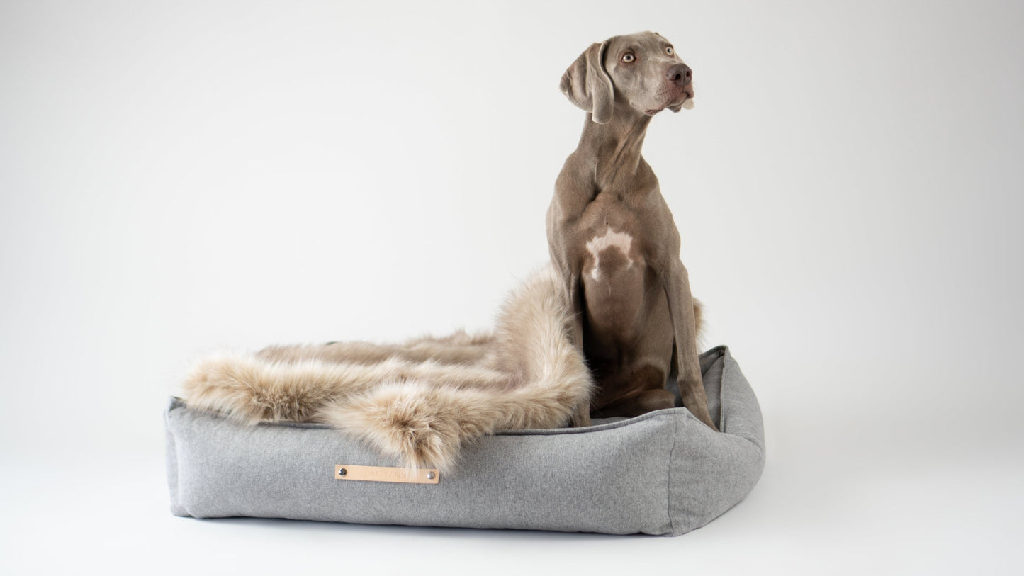 Movik | Panier orthopédique pour chien, housse amovible - Jean - Poil - Biscuit
