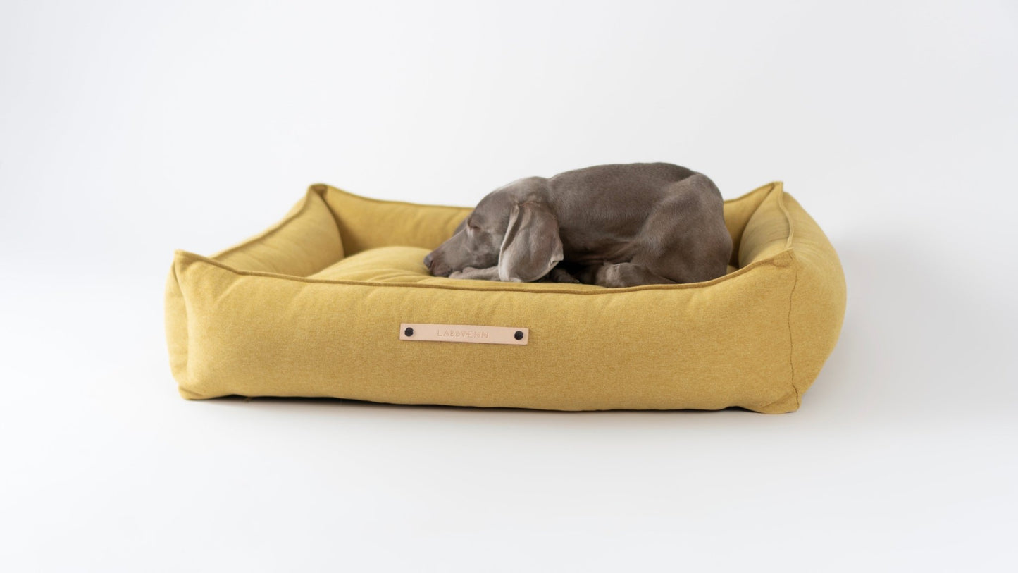 Movik | Panier orthopédique pour chien, housse amovible - Jean - Poil - Biscuit