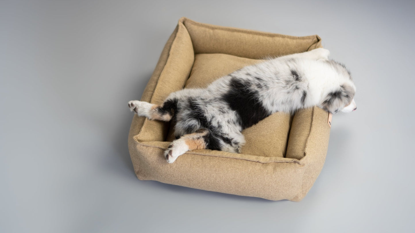 Movik | Panier orthopédique pour chien, housse amovible - Jean - Poil - Biscuit