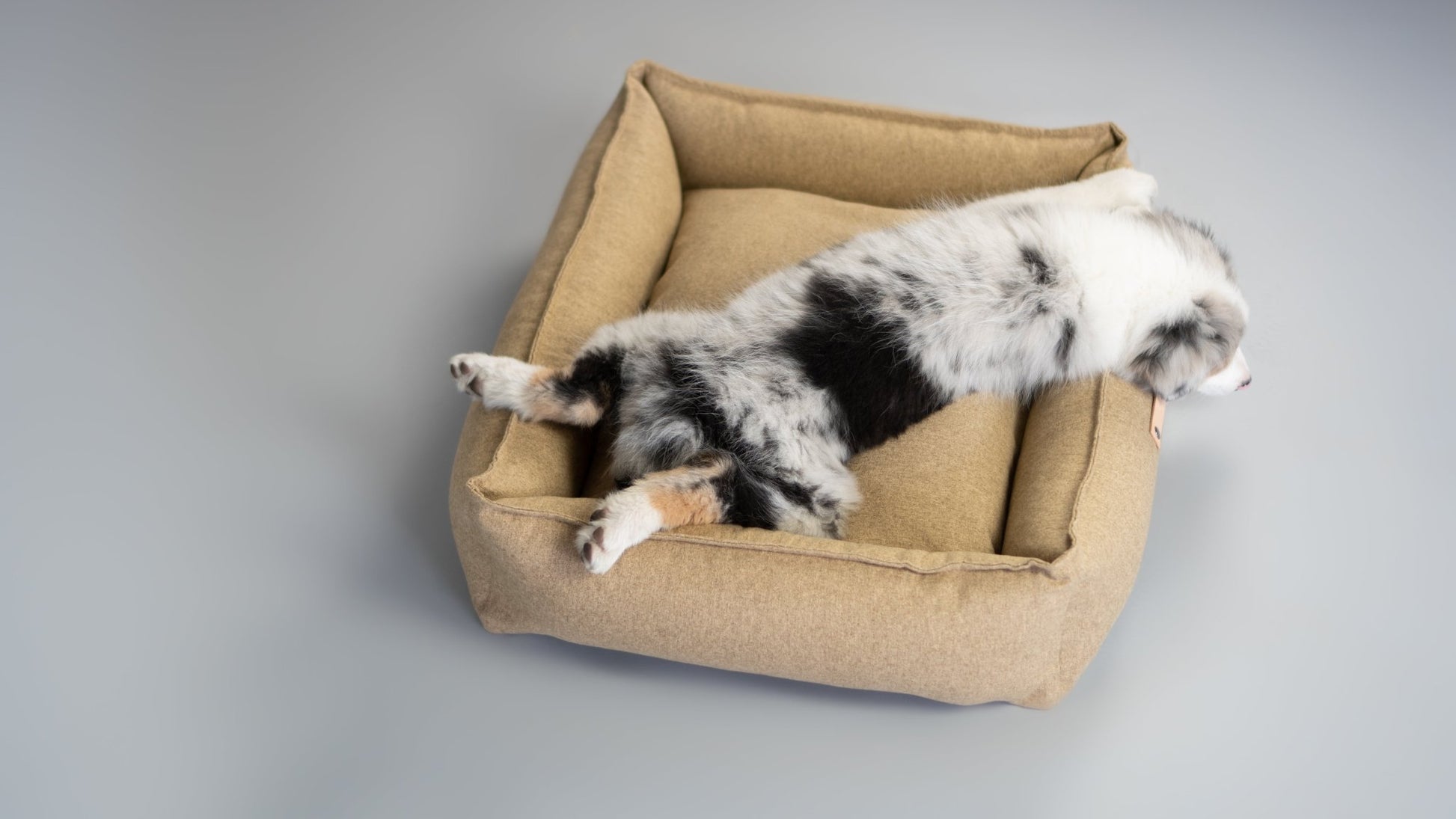 Movik | Panier orthopédique pour chien, housse amovible - Jean - Poil - Biscuit