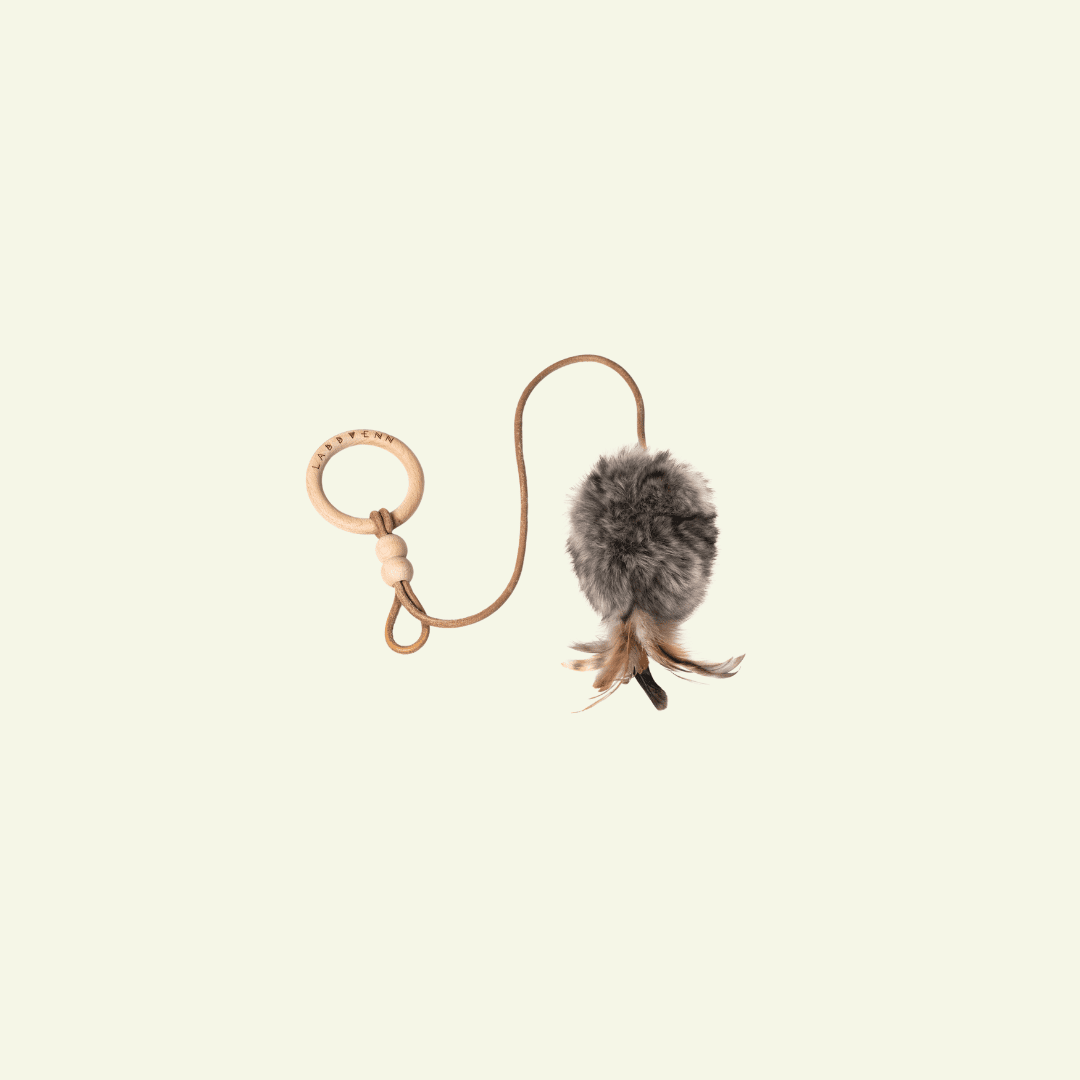 Musse | Jouet design pour chat en cuir et plumes - Jean - Poil - Gris