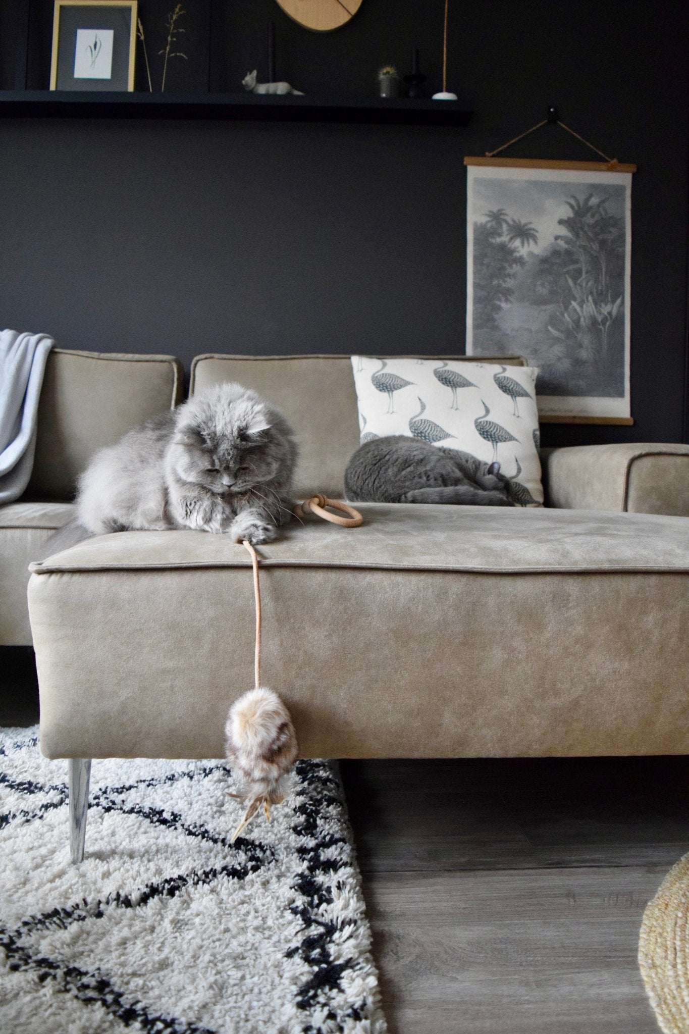 Musse | Jouet design pour chat en cuir et plumes - Jean - Poil - Marron