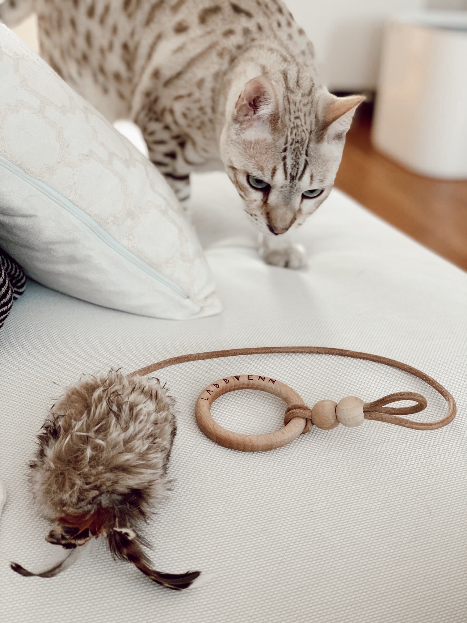 Musse | Jouet design pour chat en cuir et plumes - Jean - Poil - Marron