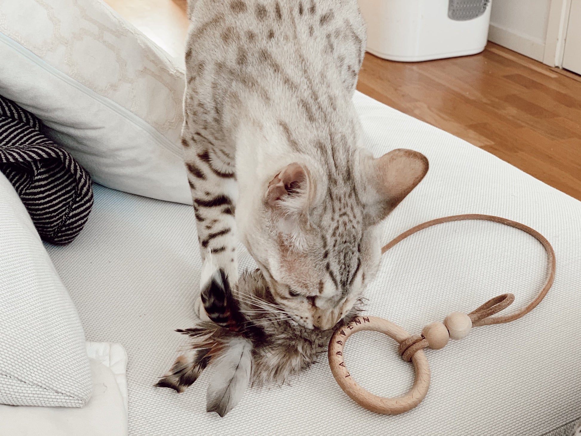 Musse | Jouet design pour chat en cuir et plumes - Jean - Poil - Marron
