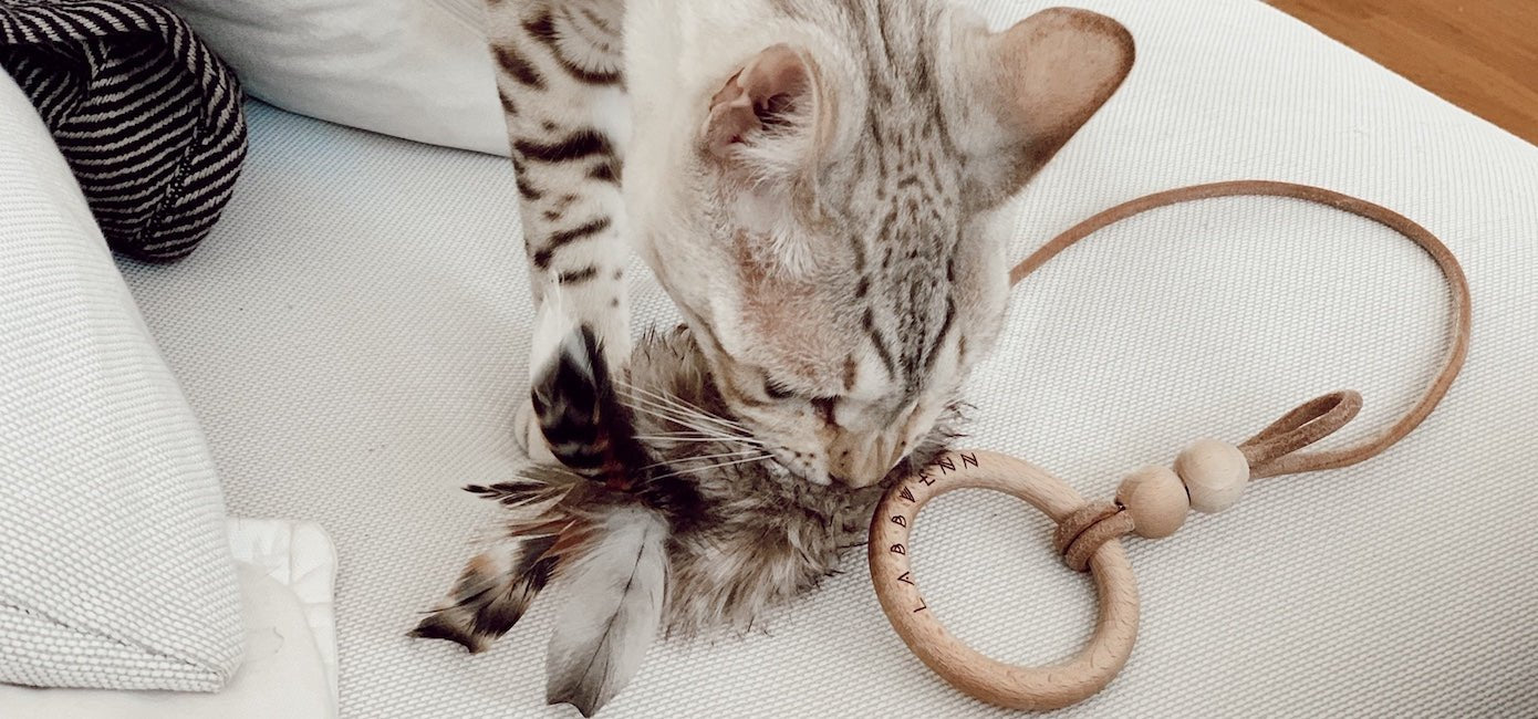 Musse | Jouet design pour chat en cuir et plumes - Jean - Poil - Marron