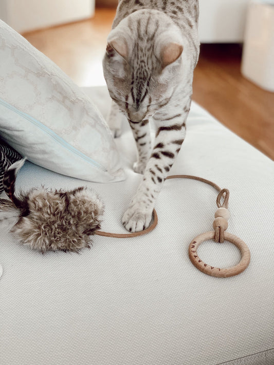 Musse | Jouet design pour chat en cuir et plumes - Jean - Poil - Marron
