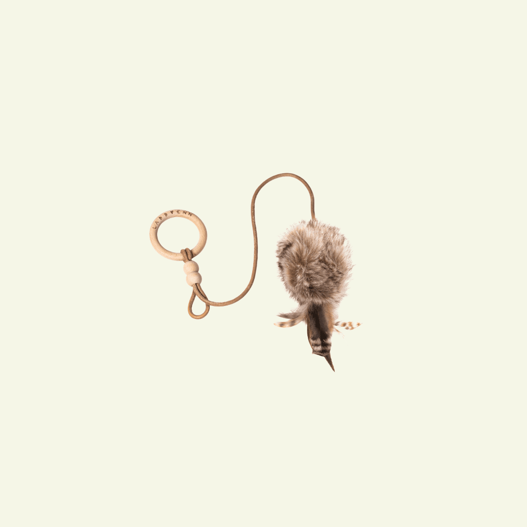 Musse | Jouet design pour chat en cuir et plumes - Jean - Poil - Marron