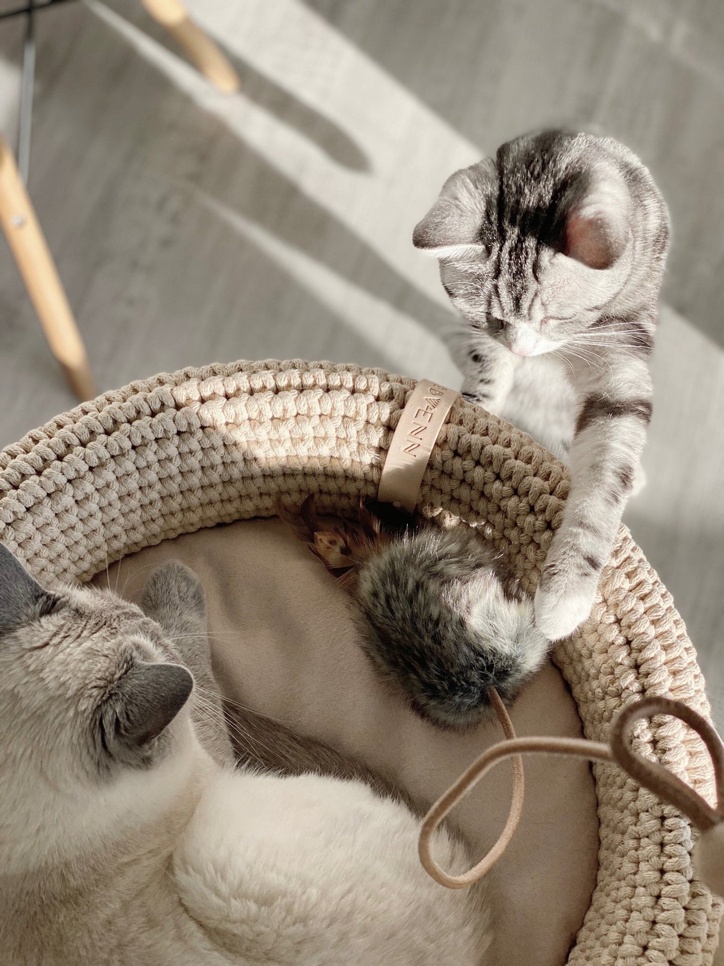 Musse | Jouet design pour chat en cuir et plumes - Jean - Poil - Marron