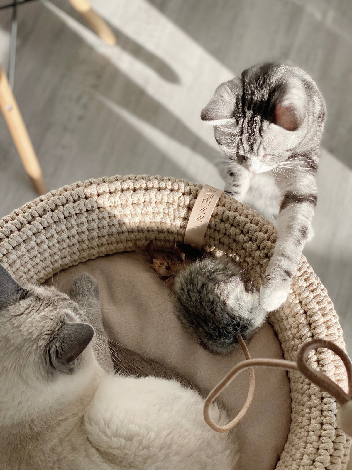 Musse | Jouet design pour chat en cuir et plumes - Jean - Poil - Marron