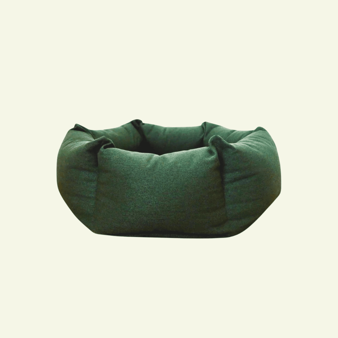 Nest | Panier cocooning sécurisé pour chat à bords enveloppants - Jean - Poil - Vert