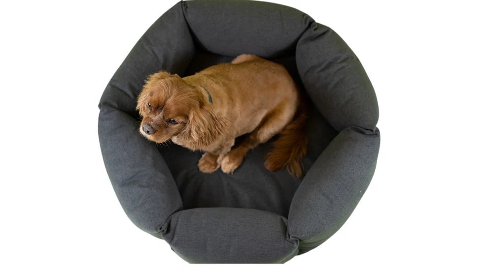Nest | Panier orthopédique cocooning pour chien en matériaux recyclés - Jean - Poil - Rose