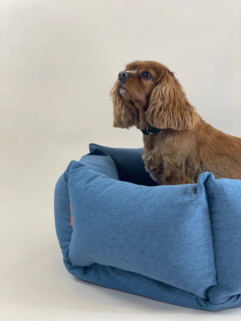 Nest | Panier orthopédique cocooning pour chien en matériaux recyclés - Jean - Poil - Rose