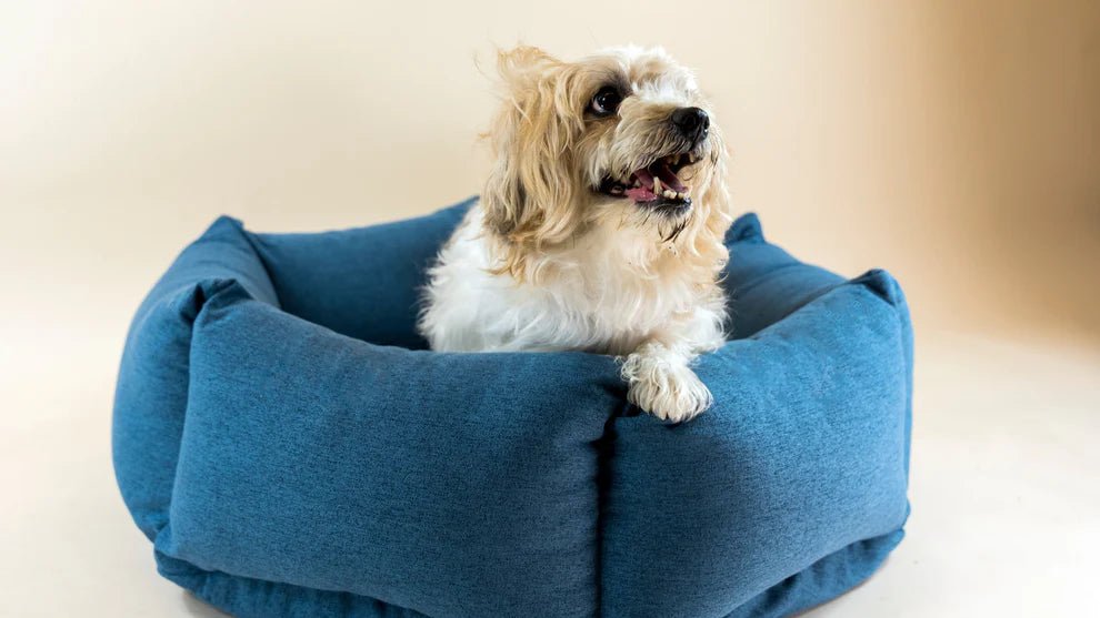 Nest | Panier orthopédique cocooning pour chien en matériaux recyclés - Jean - Poil - Rose