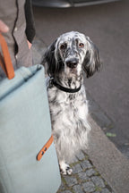 Okka | Tapis de voyage pliable pour chien avec sangles en cuir - Jean - Poil - Beige