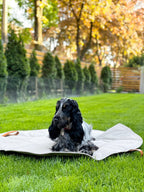 Okka | Tapis de voyage pliable pour chien avec sangles en cuir - Jean - Poil - Beige
