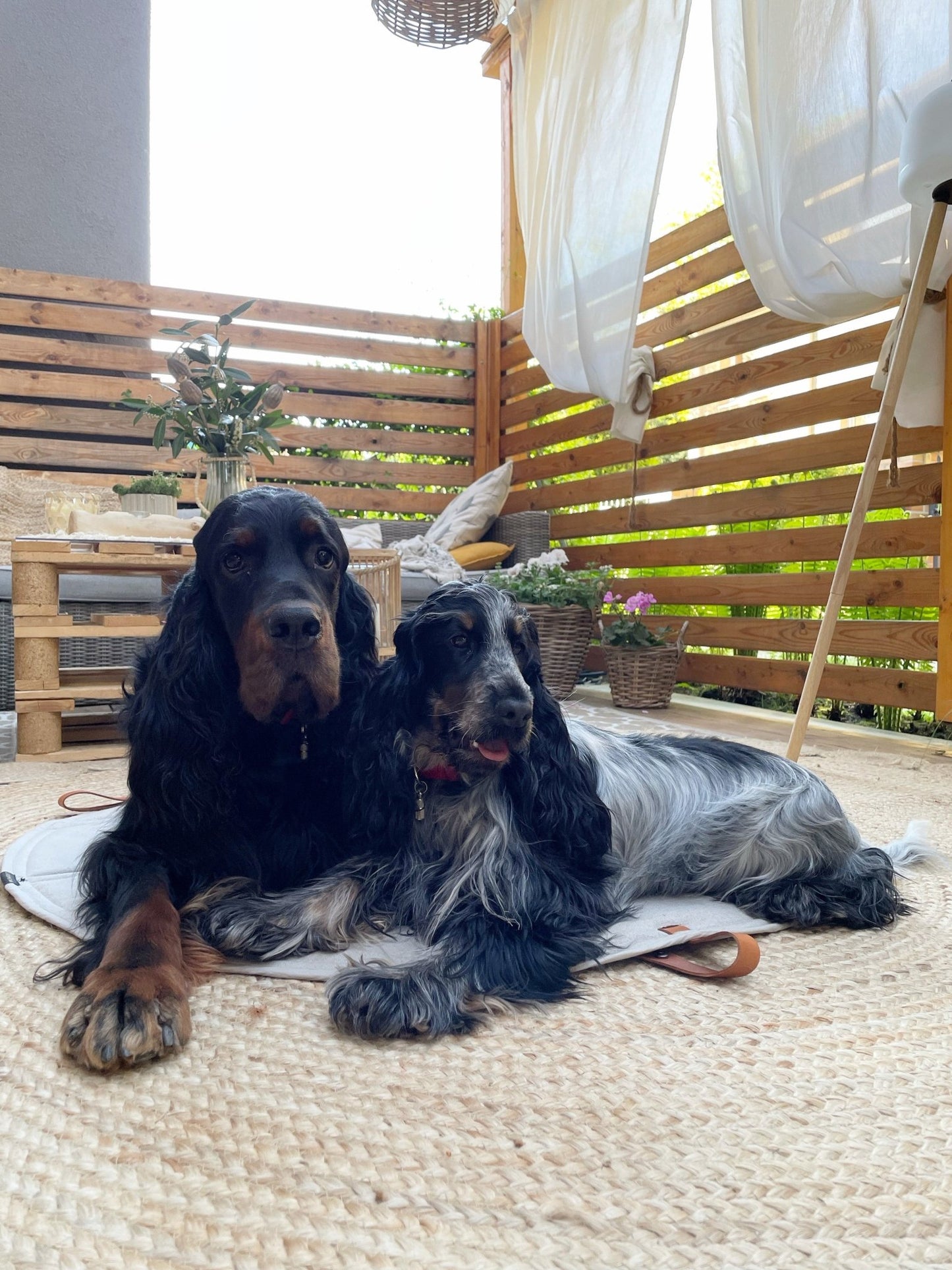 Okka | Tapis de voyage pliable pour chien avec sangles en cuir - Jean - Poil - Beige
