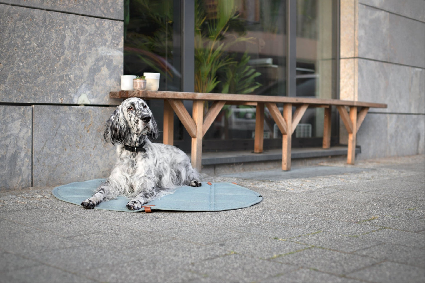 Okka | Tapis de voyage pliable pour chien avec sangles en cuir - Jean - Poil - Beige