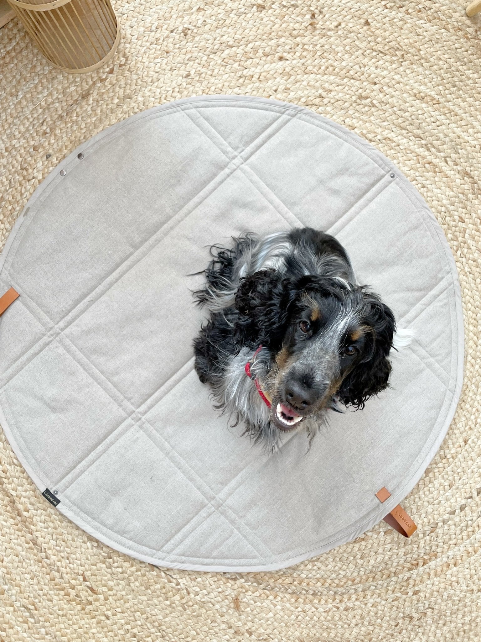 Okka | Tapis de voyage pliable pour chien avec sangles en cuir - Jean - Poil - Beige
