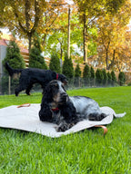 Okka | Tapis de voyage pliable pour chien avec sangles en cuir - Jean - Poil - Beige