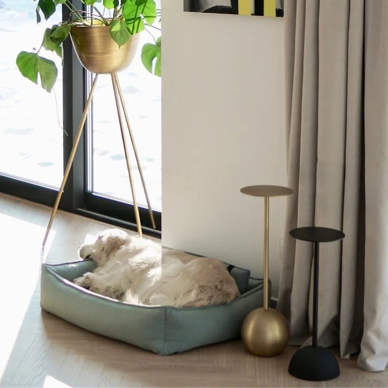 Orteo | Panier orthopédique pour chien - Jean - Poil - Lin