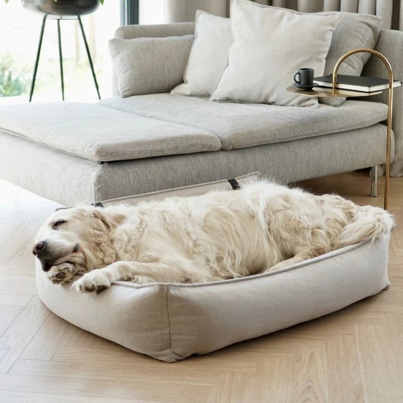 Orteo | Panier orthopédique pour chien - Jean - Poil - Lin