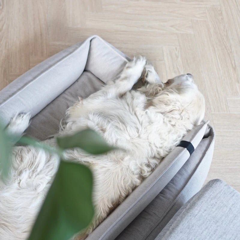 Orteo | Panier orthopédique pour chien - Jean - Poil - Lin