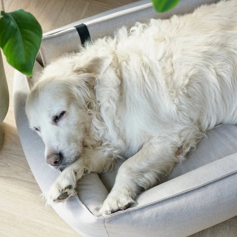 Orteo | Panier orthopédique pour chien - Jean - Poil - Lin