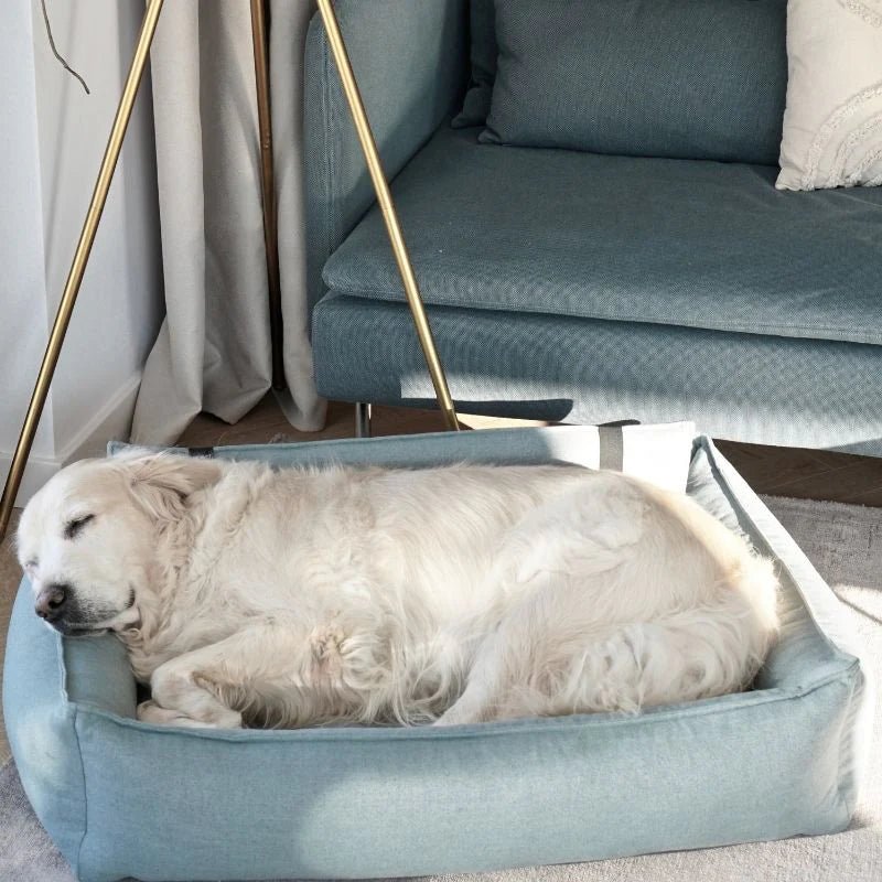 Orteo | Panier orthopédique pour chien - Jean - Poil - Lin