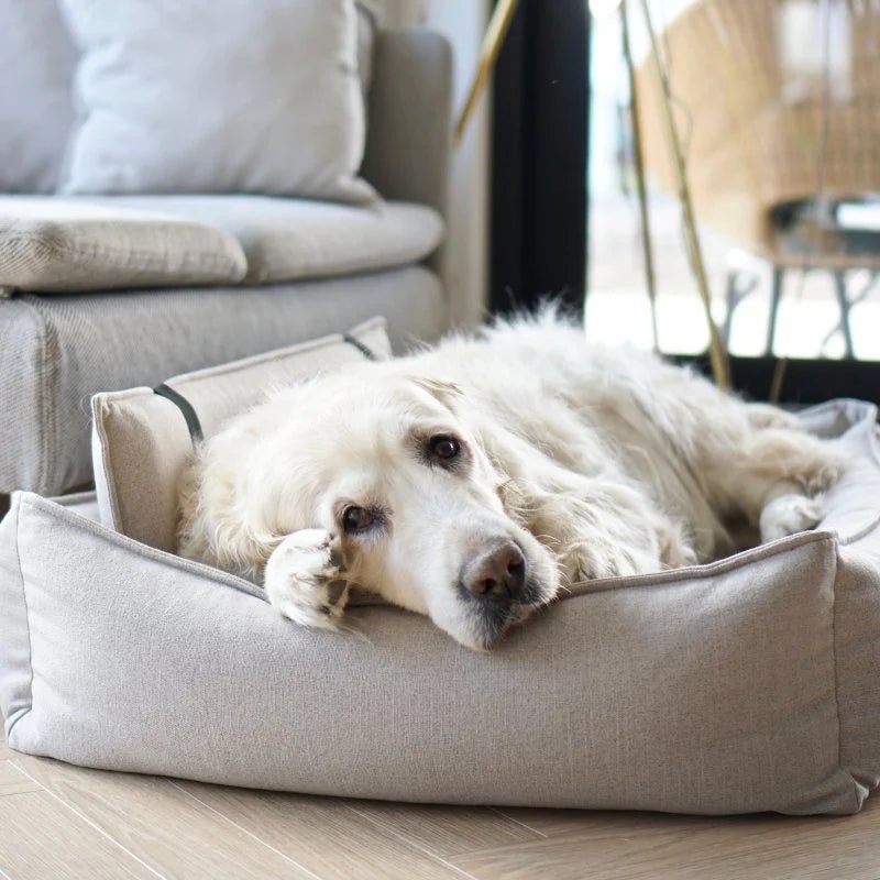 Orteo | Panier orthopédique pour chien - Jean - Poil - Lin