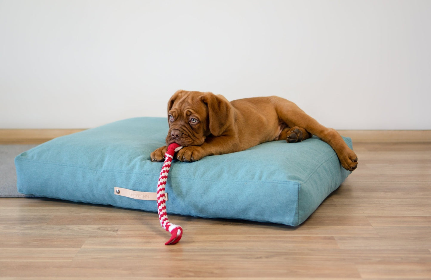 Oslo | Coussin pour chien - style scandinave, housse lavable - Jean - Poil - Bleu marine