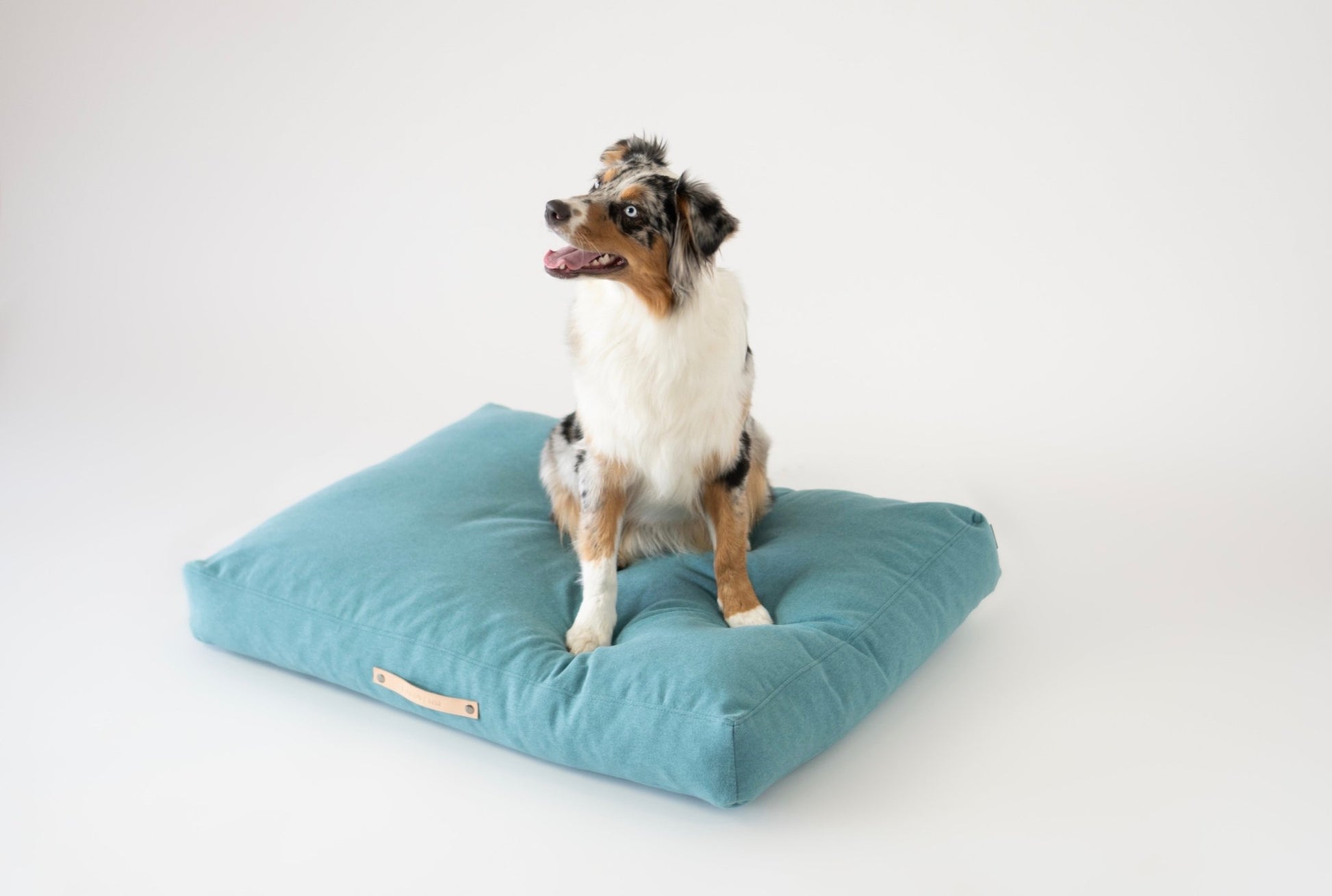 Oslo | Coussin pour chien - style scandinave, housse lavable - Jean - Poil - Bleu marine