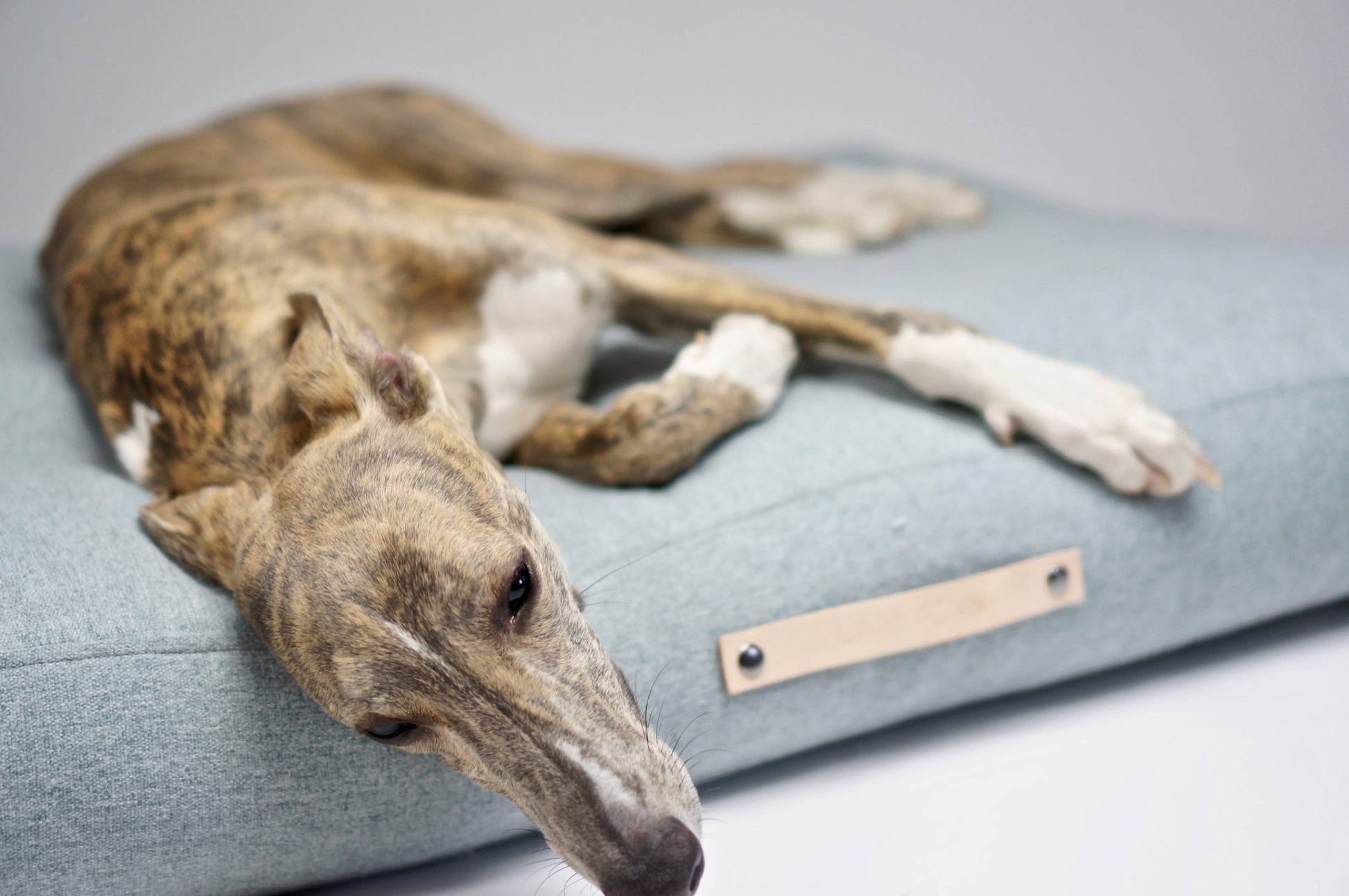 Oslo | Coussin pour chien - style scandinave, housse lavable - Jean - Poil - Bleu marine